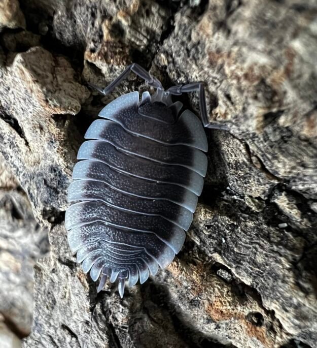 cropped img 4331 scaled 1.jpeg cropped img 4331 scaled 1.jpeg