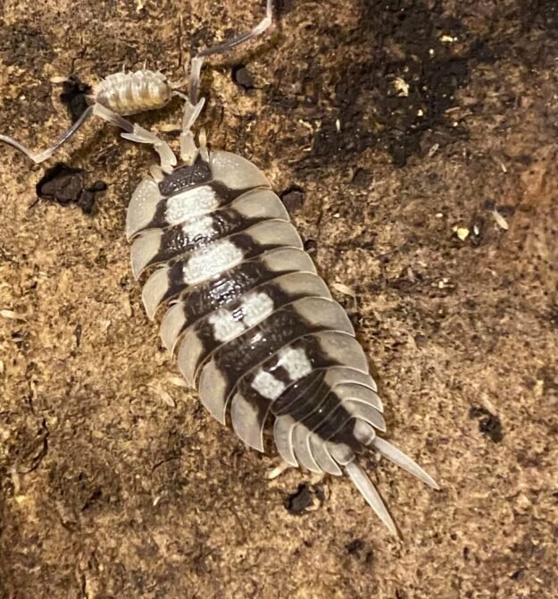 cropped img 5618.jpeg cropped img 5618.jpeg