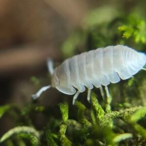 cropped img 9303.jpeg