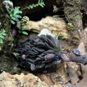 cropped messenger creation 4190601c 30c4 4159 8250 3aa69b1b6fb6.jpeg