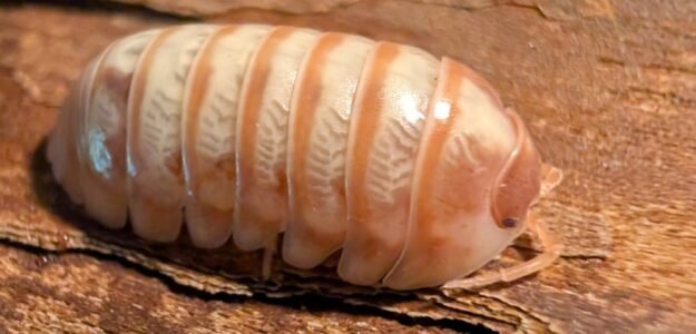 cropped pxl 20250606 033655058 1 scaled 1.jpg