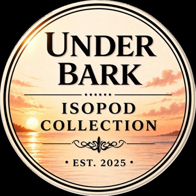 Under Bark Isopods