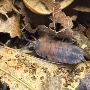 cropped cropped img 2347 scaled 1.jpeg