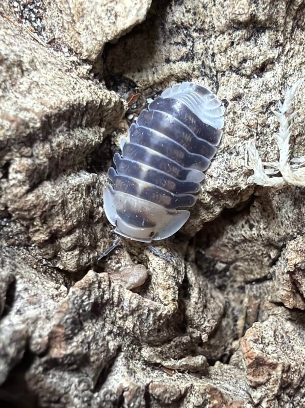 cropped cropped image 17 scaled 1.jpg cropped cropped image 17 scaled 1.jpg