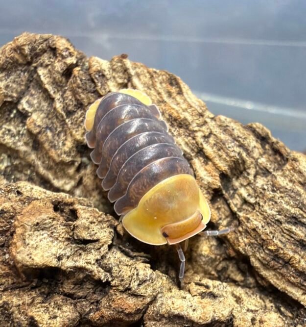 cropped image 15 scaled 1.jpg cropped image 15 scaled 1.jpg