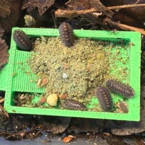 cropped image 24 scaled 1.jpg