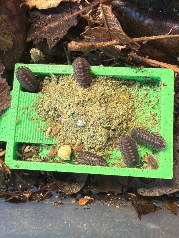 cropped image 24 scaled 1.jpg cropped image 24 scaled 1.jpg