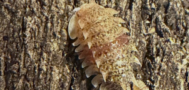 cropped 83d13684 9d7e 4f99 813b 94cf9530967e.jpg