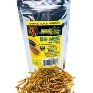 cropped img 2153.jpeg