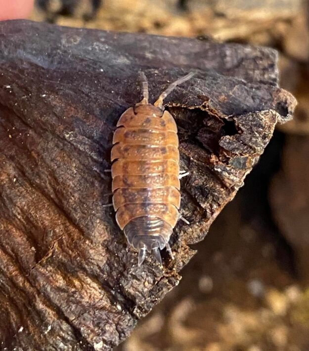 cropped img 6453.jpeg cropped img 6453.jpeg