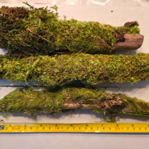 3ct Mossy Sticks mossysticks2