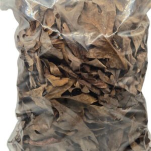 whiteoak1 (1)