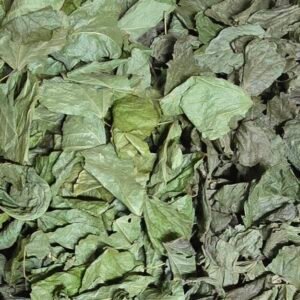 6x6x6 kudzu cropped 20260628 143108.jpg