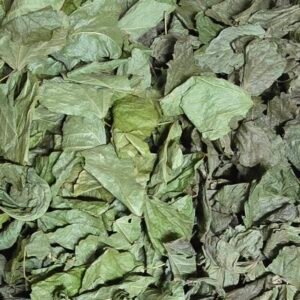 11x8x6 box of kudzu cropped cropped 20260628 143108.jpg