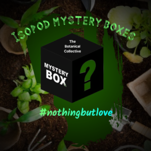 Isopod mystery box flyermaker 1783347608882