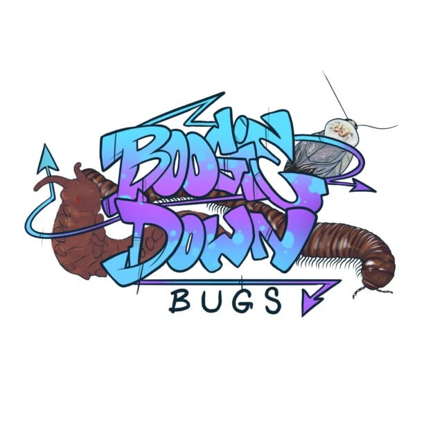 Boogie Down Bugs