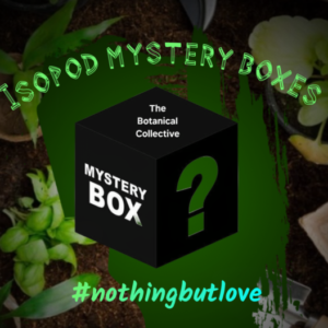 Isopod mystery box cropped flyermaker 1783347608882.png