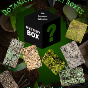11x7.5x5.5 Botanical mystery box cropped flyerwiz 1748978951649 1.png