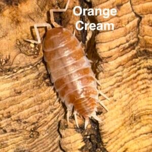 cropped cropped img 4506 1.jpeg