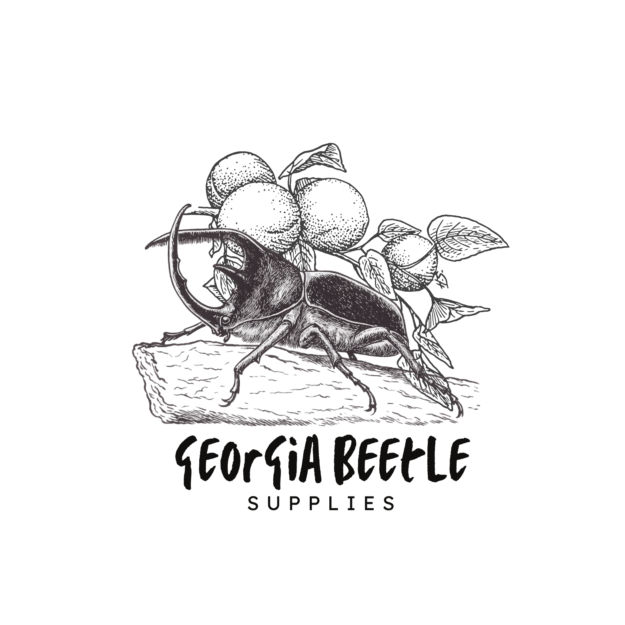 Georgia Beetle Supplies