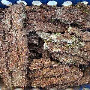 11x8x6 hardwood flats 20260814 064107
