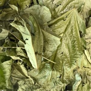 6x6x6 box Kudzu Leaves img 8384