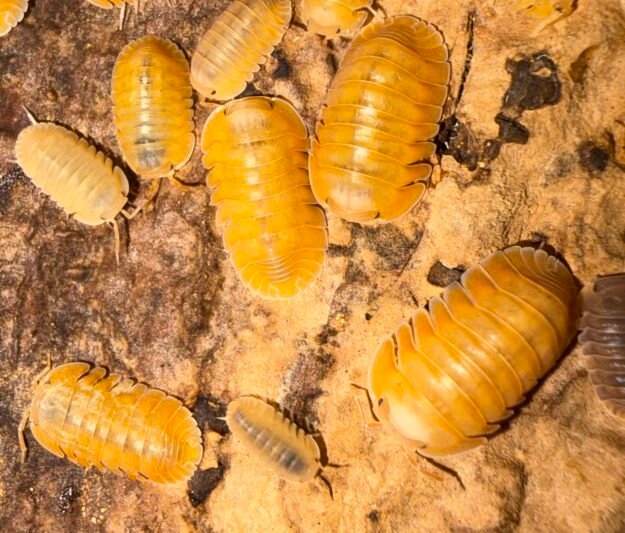 cropped img 5344.jpeg cropped img 5344.jpeg