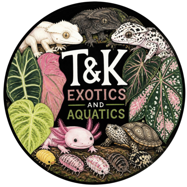 T&K Exotics and Aquatics