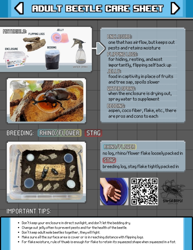 Tutorials & Guides ADULT BEETLE CARE SHEET