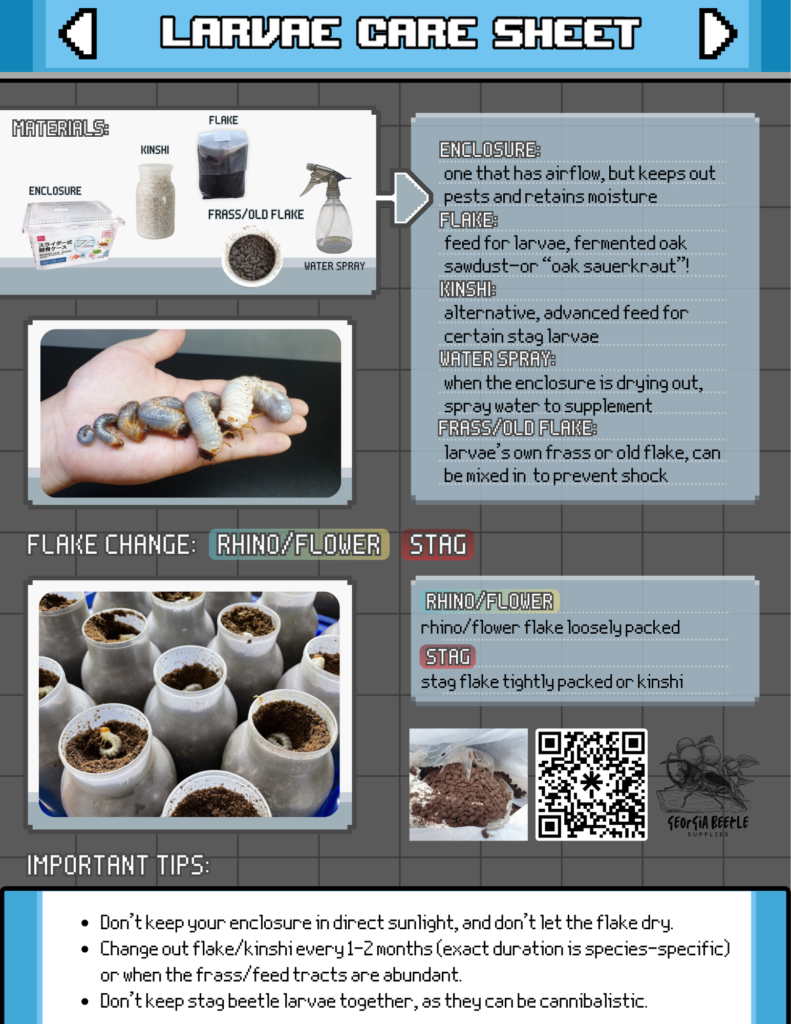 Tutorials & Guides BEETLE LARVAE CARESHEET