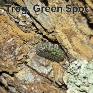 green spot