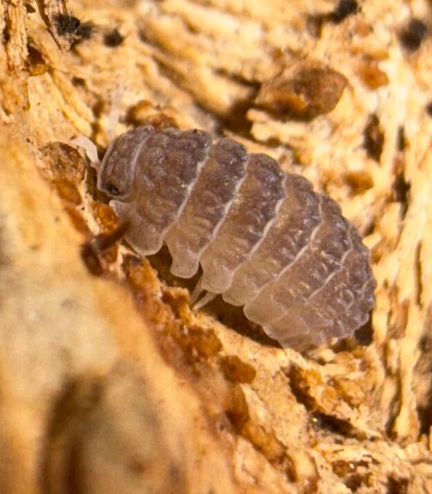 cropped img 6050.jpeg cropped img 6050.jpeg