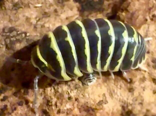 cropped img 6138 1.jpeg cropped img 6138 1.jpeg