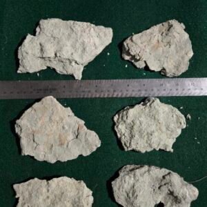 8lbs TN River Limestone cropped limestone.jpg
